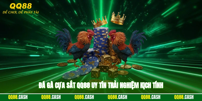 Đá gà cựa sắt QQ88 uy tín, trải nghiệm kịch tính